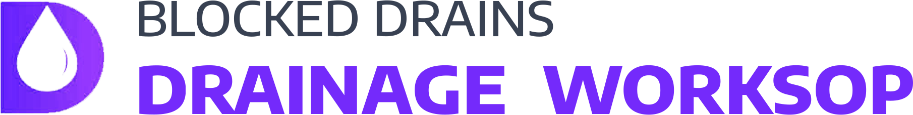 website logo